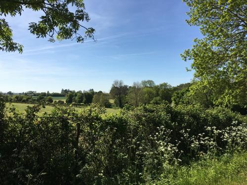 Landscape of Saint Michel le Cloucq