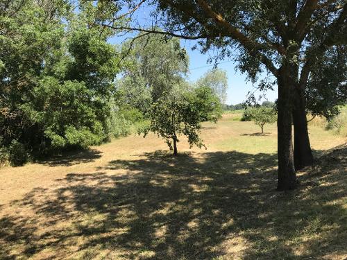 Rear open space garden