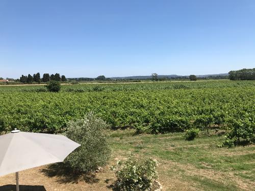 View from front bedrooms over vineyards